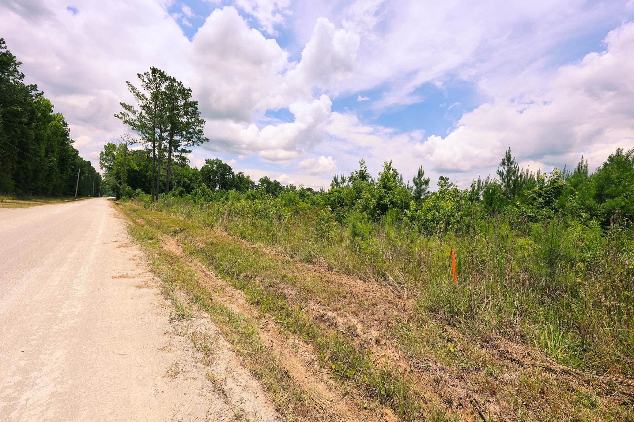Lot B Fries Bay Road Loris, SC 29569 - Photo 6 of 6
