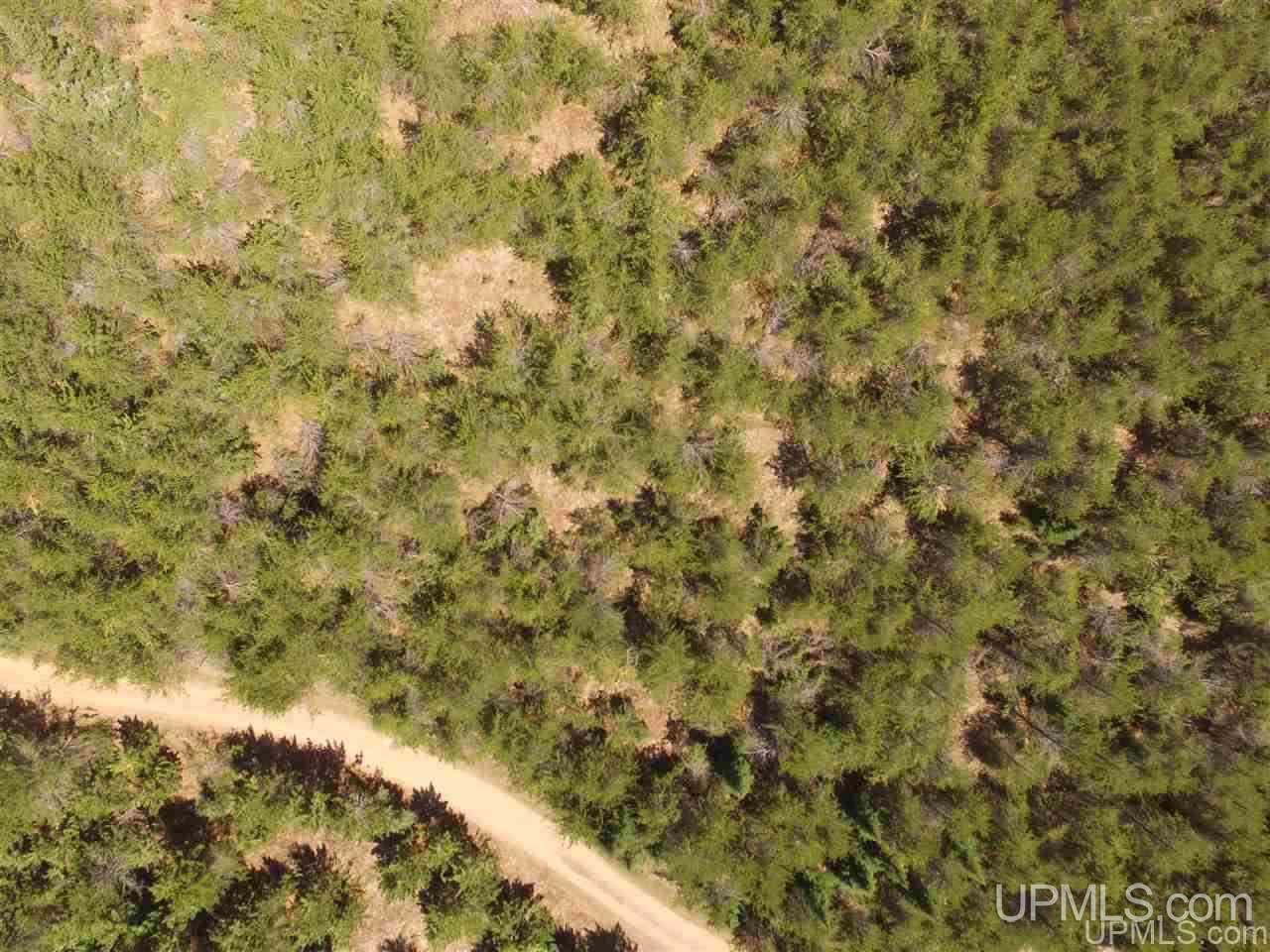 Tbd Forest Hwy 16 Road Iron River, MI 49935 - Photo 22 of 49