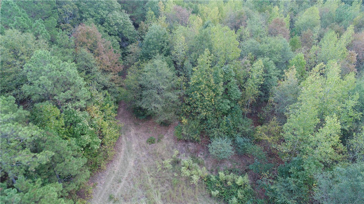 250 State Rd S-4-196 Starr, SC 29684 - Photo 21 of 25 Gallery Image 21