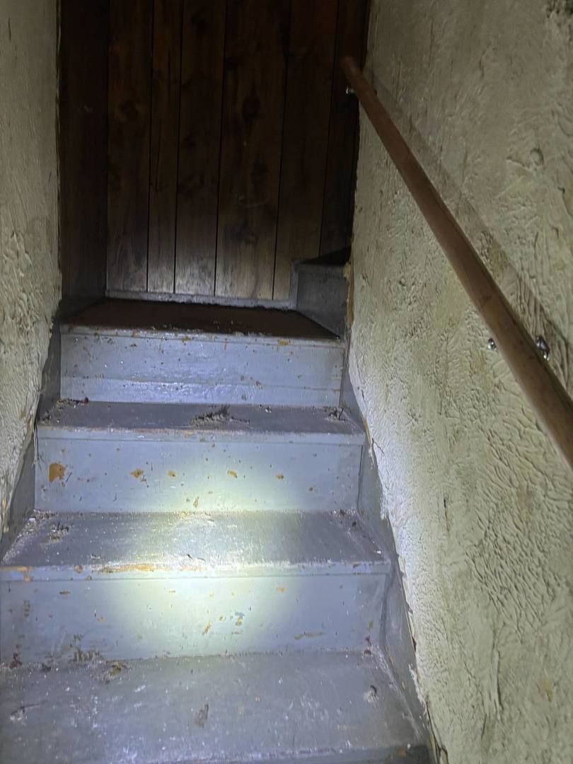 6331 South Winchester Avenue Chicago, IL 60636 - Photo 19 of 30