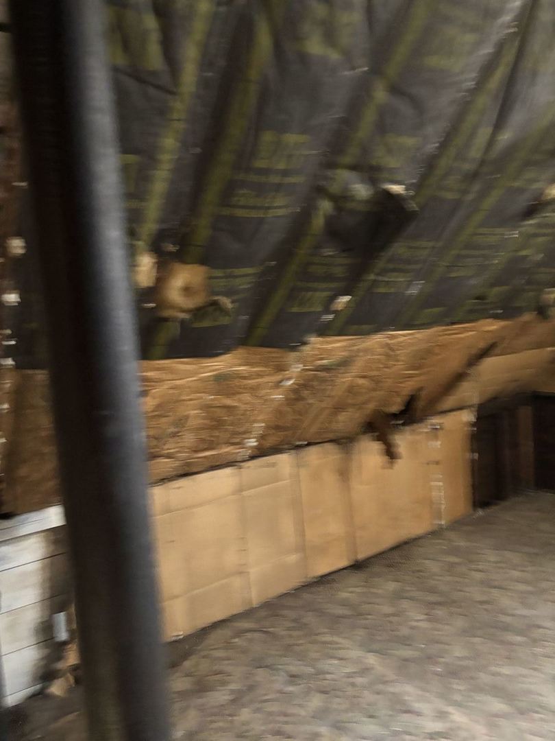 6331 South Winchester Avenue Chicago, IL 60636 - Photo 26 of 30