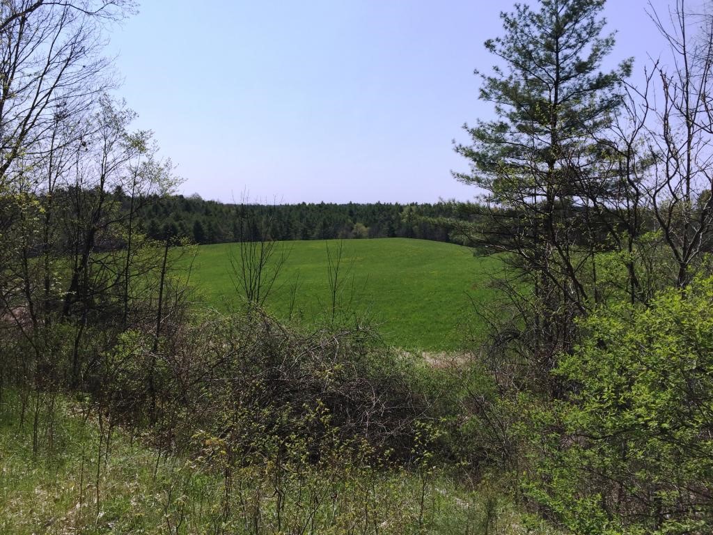 0 Main Road Fair Haven, VT 05743 - Photo 2 of 15