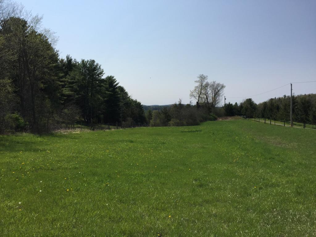 0 Main Road Fair Haven, VT 05743 - Photo 3 of 15