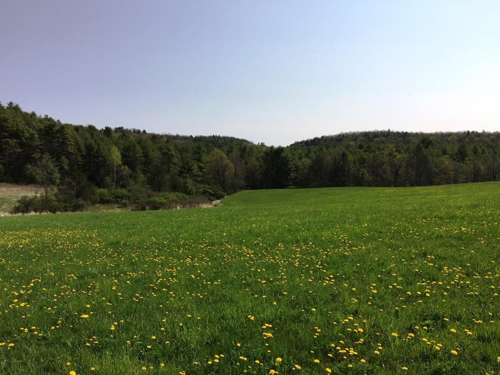 0 Main Road Fair Haven, VT 05743 - Photo 6 of 15