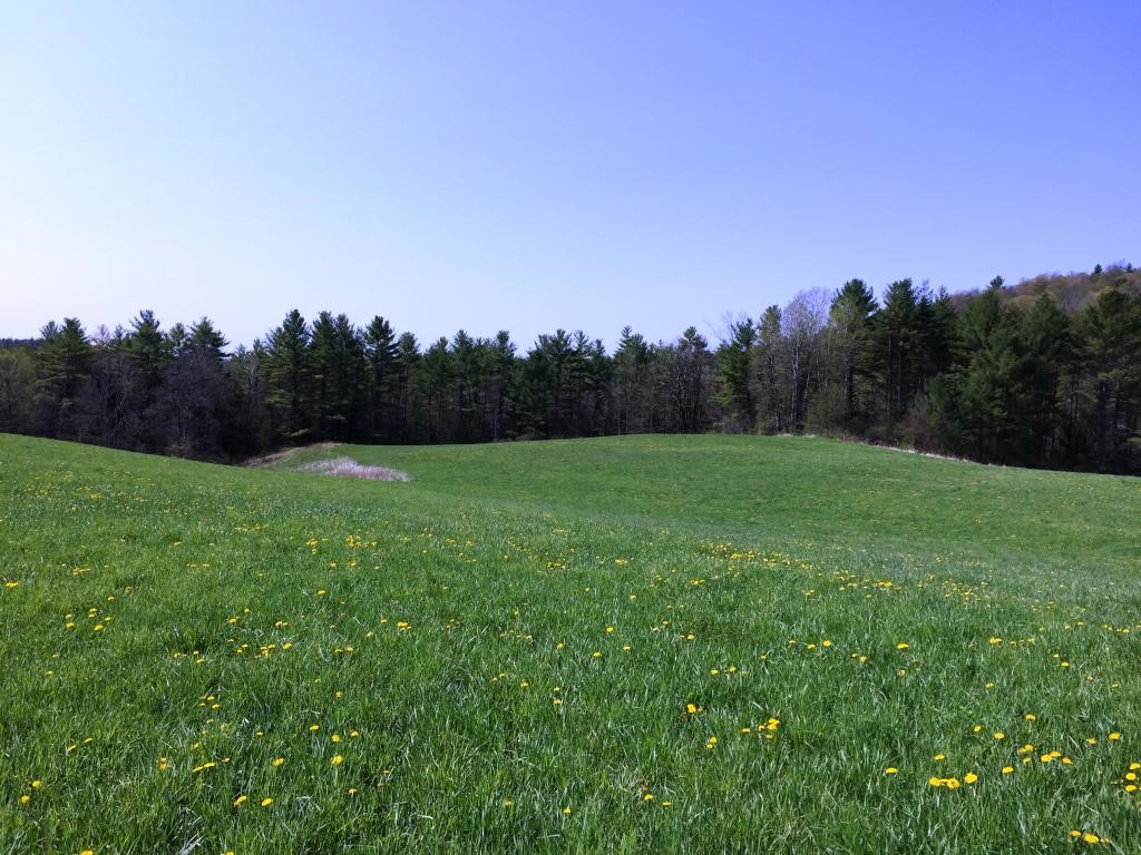 0 Main Road Fair Haven, VT 05743 - Photo 8 of 15