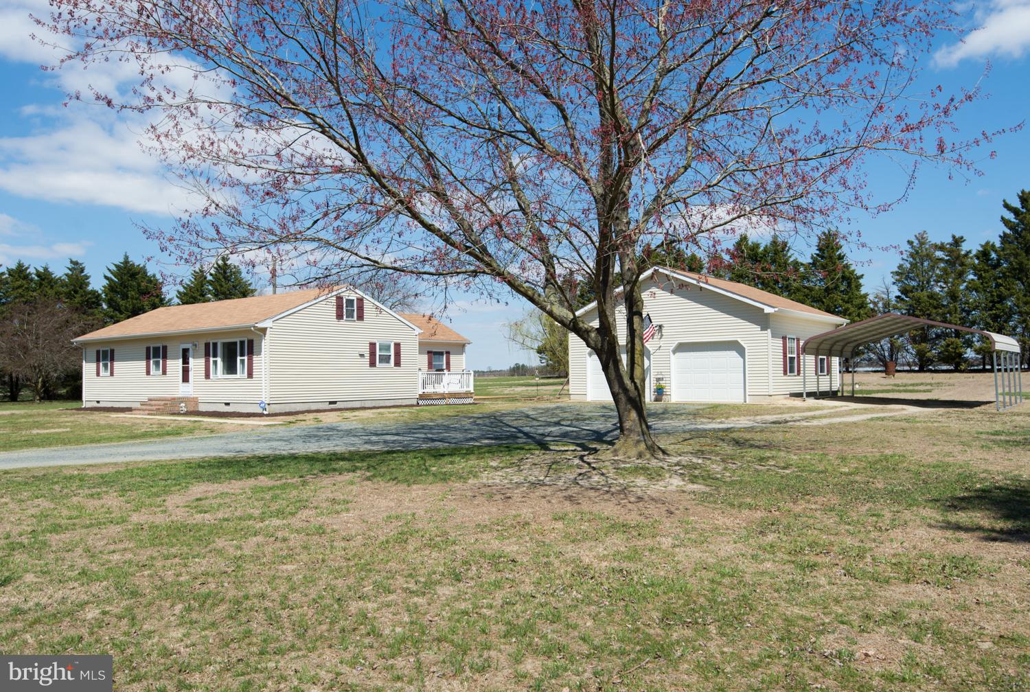 6858 North Tara Road Federalsburg, MD 21632 - Photo 1 of 30 Exterior (Front)