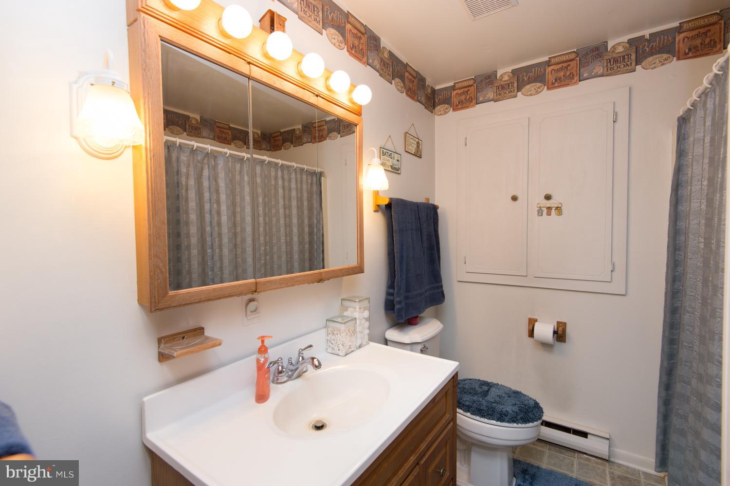6858 North Tara Road Federalsburg, MD 21632 - Photo 10 of 30 Bath