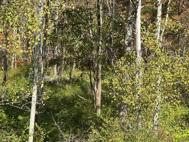 $199,900 | 765 Laurel Run Road, Reynoldsville, PA 15851