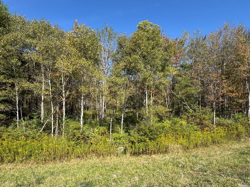 765 Laurel Run Road Reynoldsville, PA 15851 - Photo 4 of 8