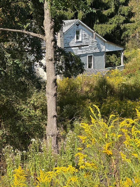 765 Laurel Run Road Reynoldsville, PA 15851 - Photo 8 of 8