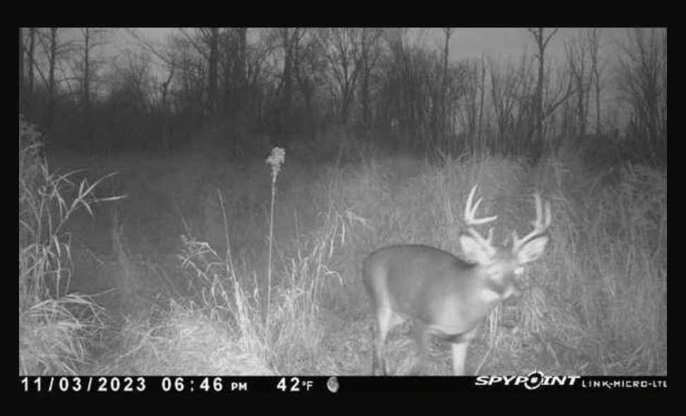 West Blanchard Road Mount Pleasant, MI 48858 - Photo 16 of 22 Gallery Image 16
