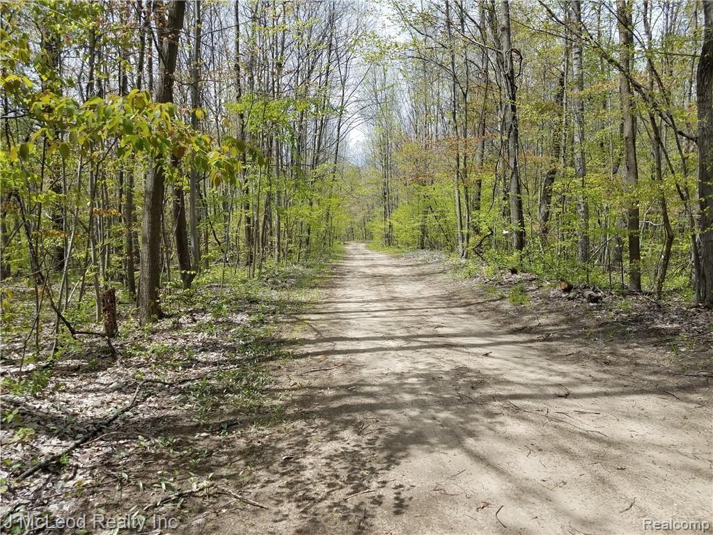 Vl Washburn Road Vassar, MI 48768 - Photo 32 of 37