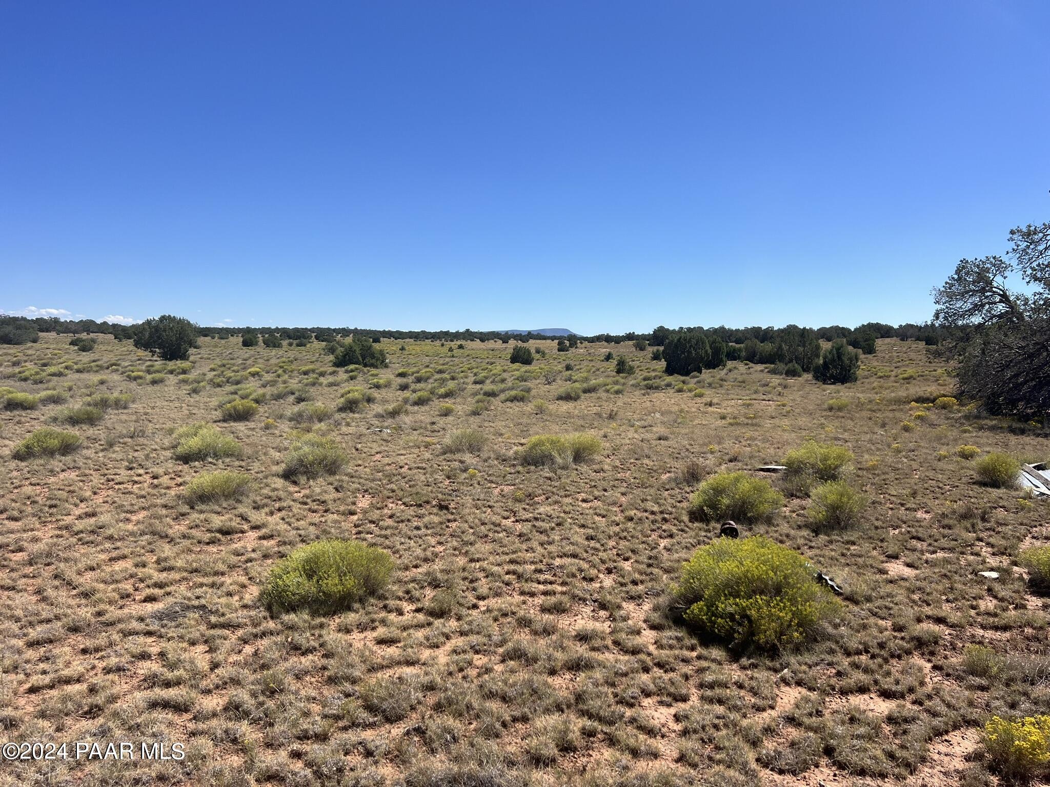 234 Brothers Road Seligman, AZ 86337 - Photo 11 of 16 IMG_6529