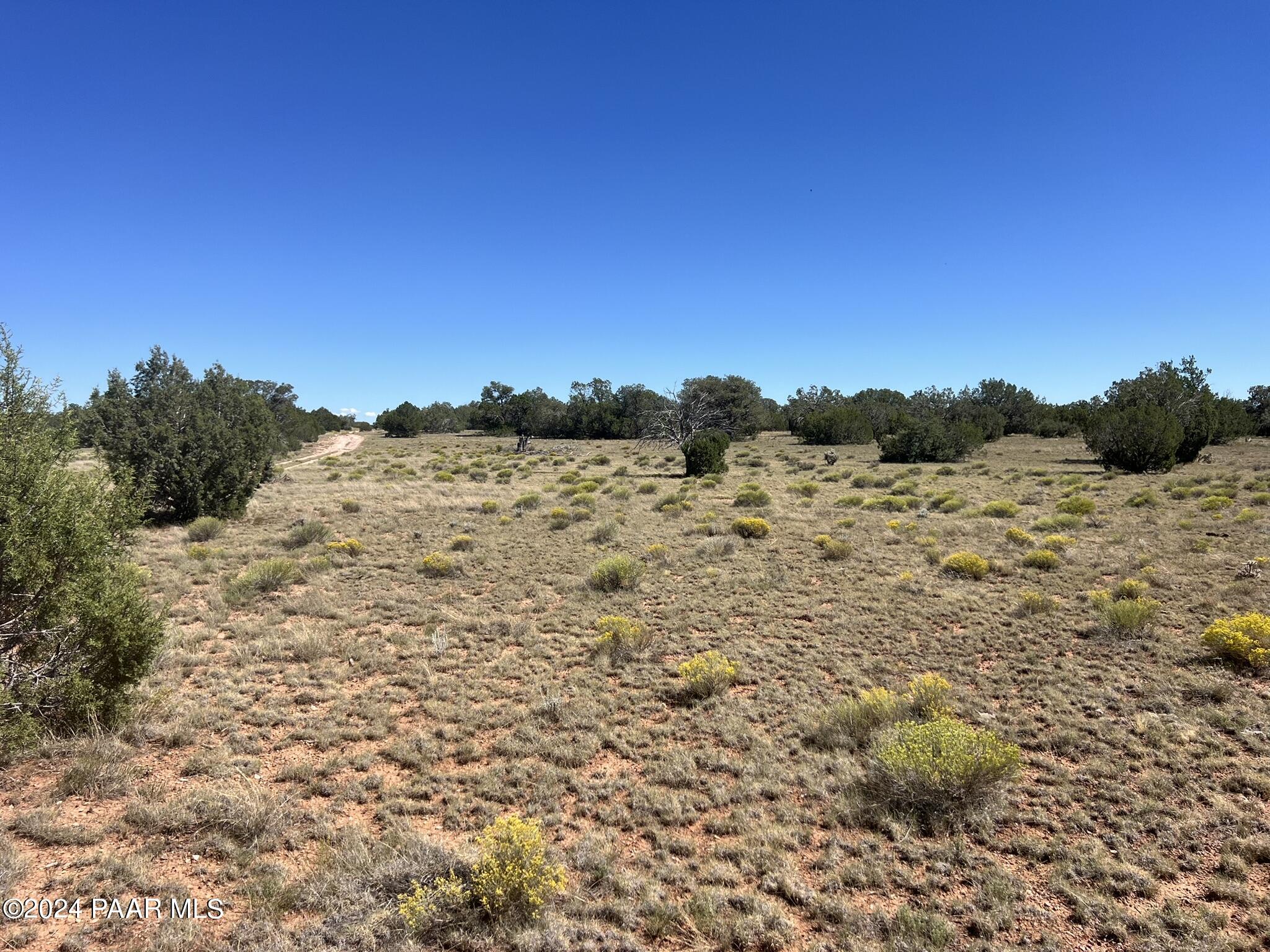 234 Brothers Road Seligman, AZ 86337 - Photo 12 of 16 IMG_6531