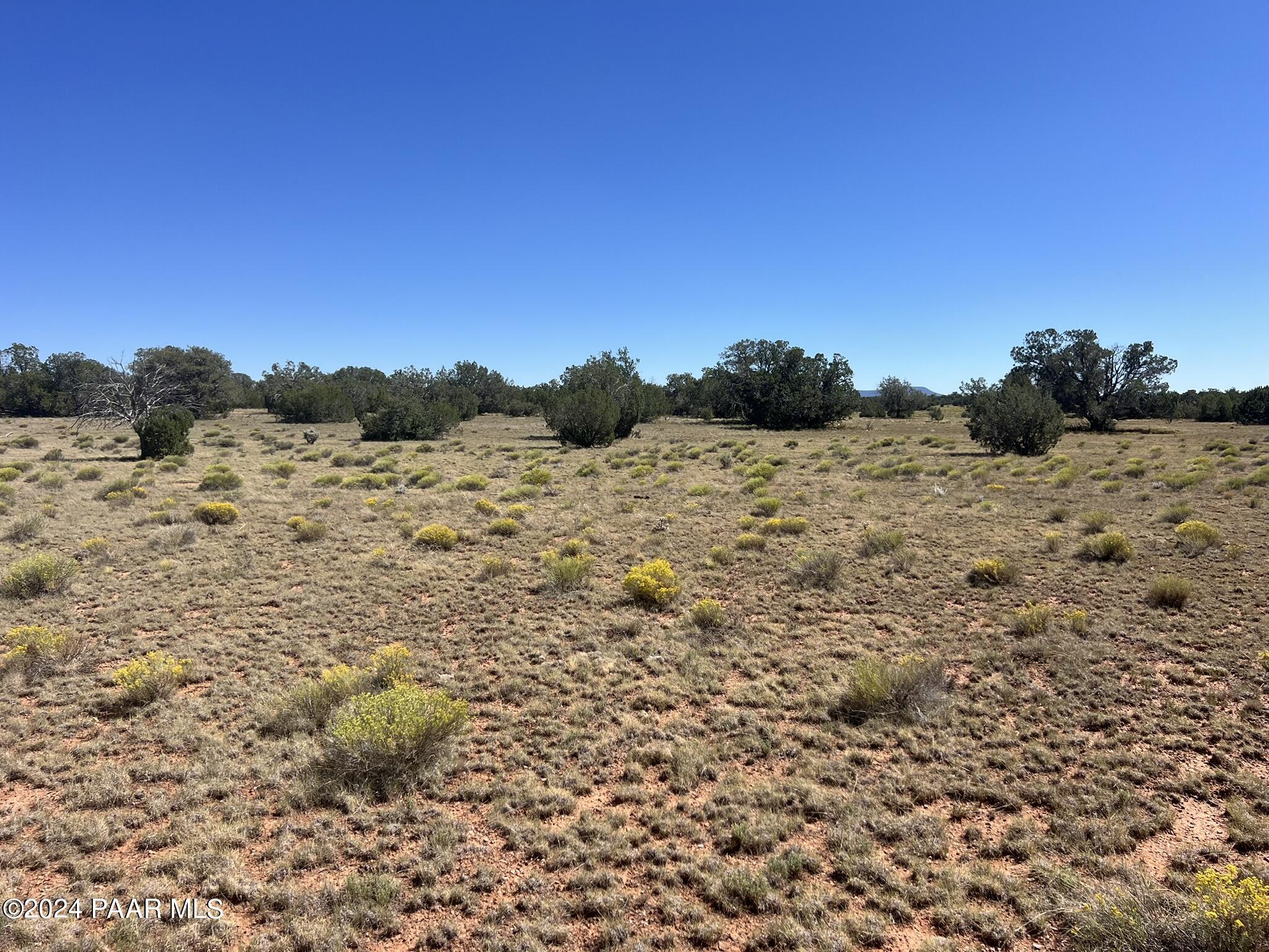 234 Brothers Road Seligman, AZ 86337 - Photo 13 of 16 IMG_6532