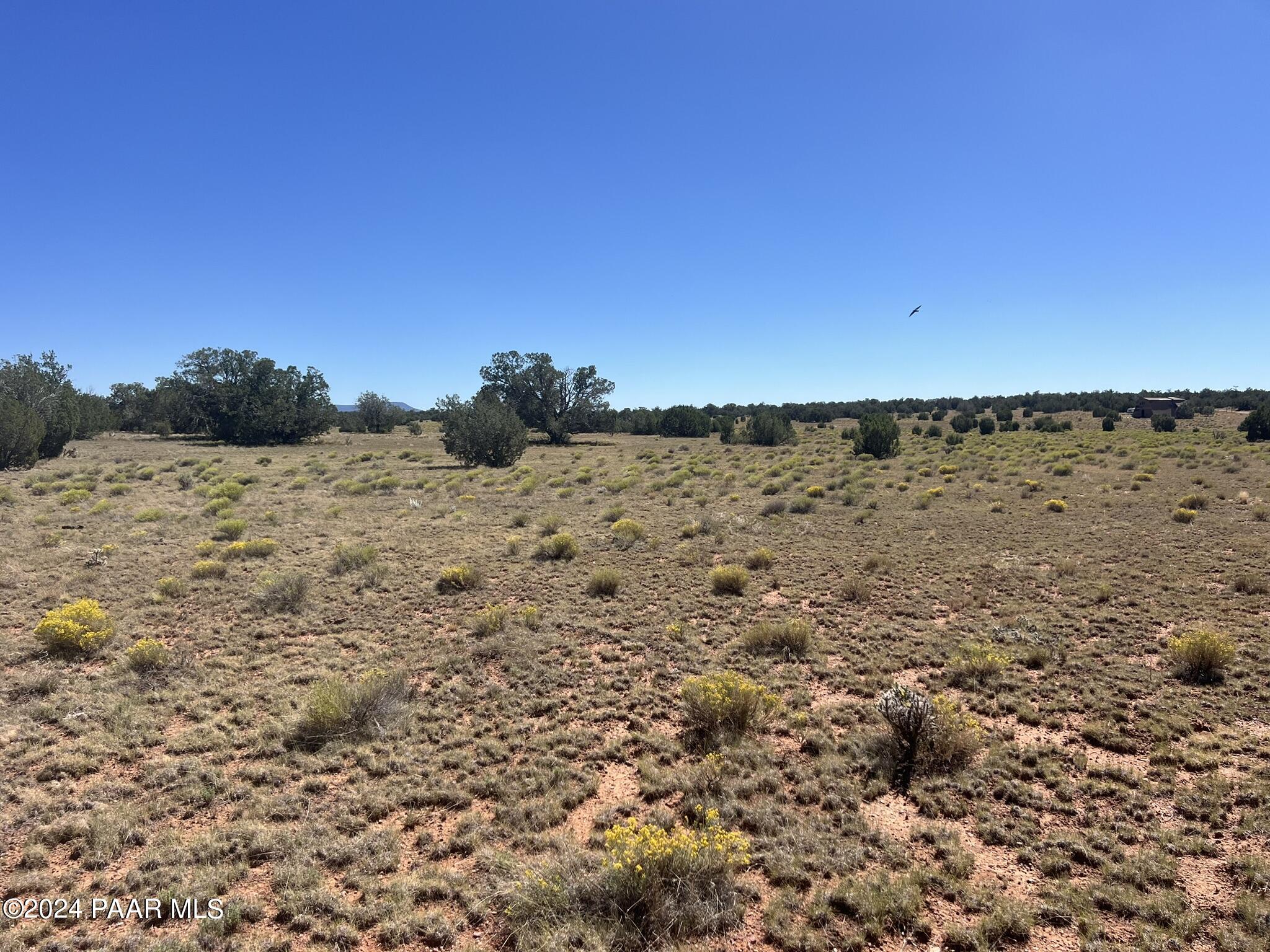234 Brothers Road Seligman, AZ 86337 - Photo 14 of 16 IMG_6533