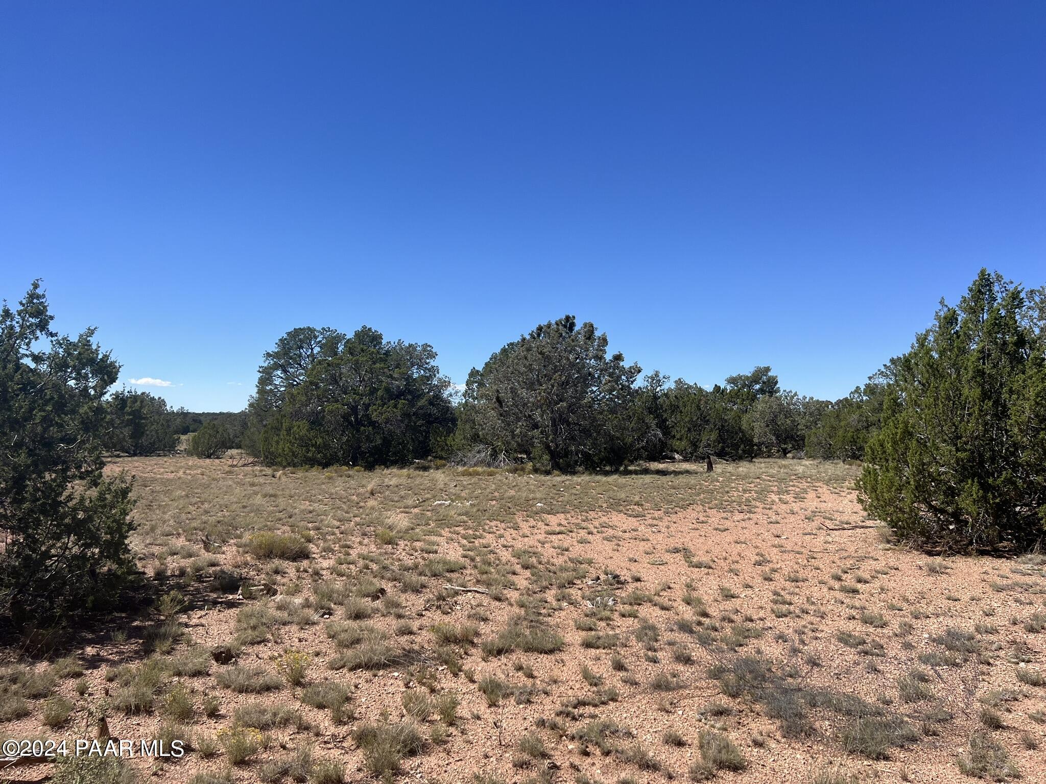 234 Brothers Road Seligman, AZ 86337 - Photo 15 of 16 IMG_6535