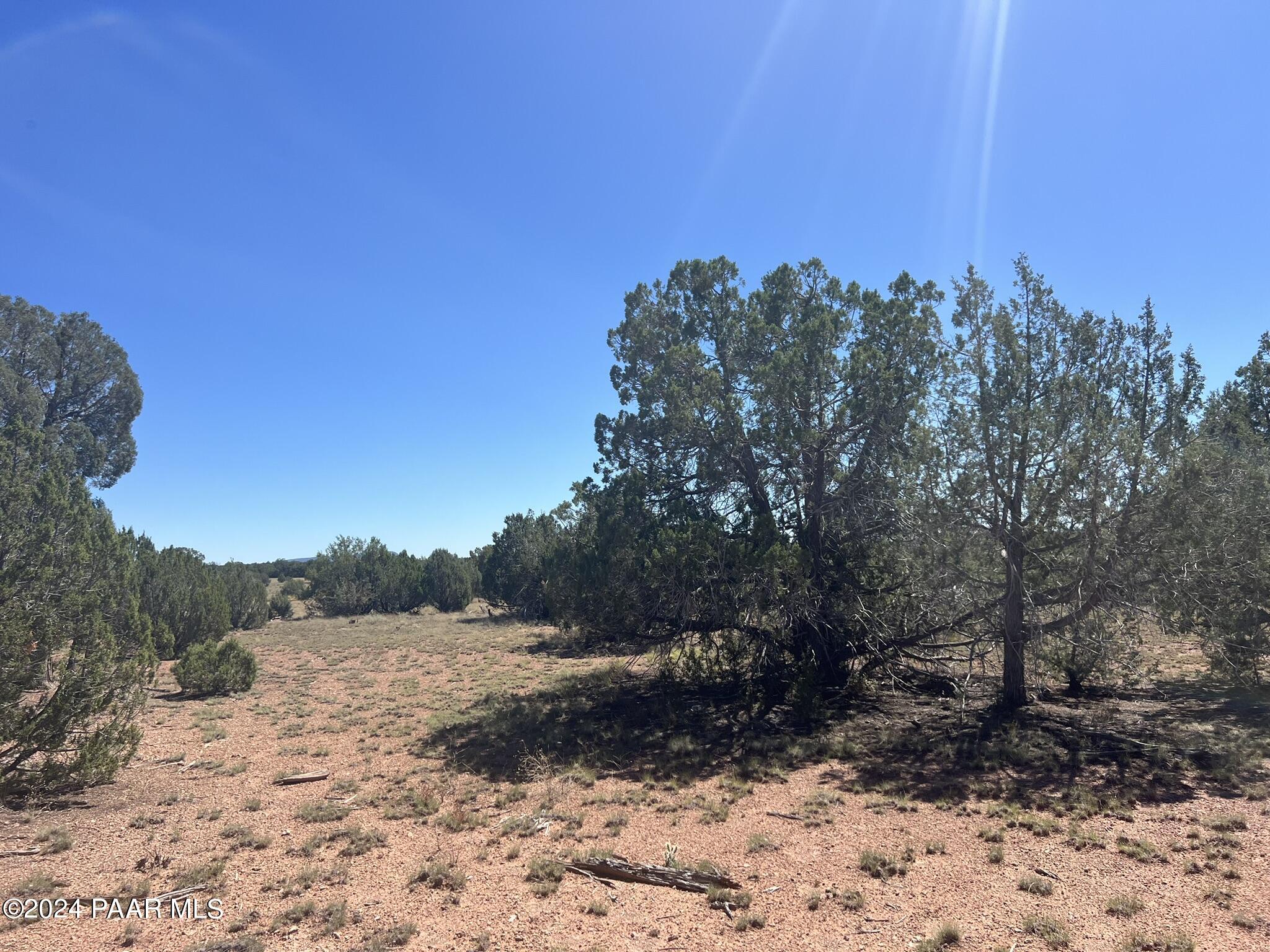 234 Brothers Road Seligman, AZ 86337 - Photo 16 of 16 IMG_6536