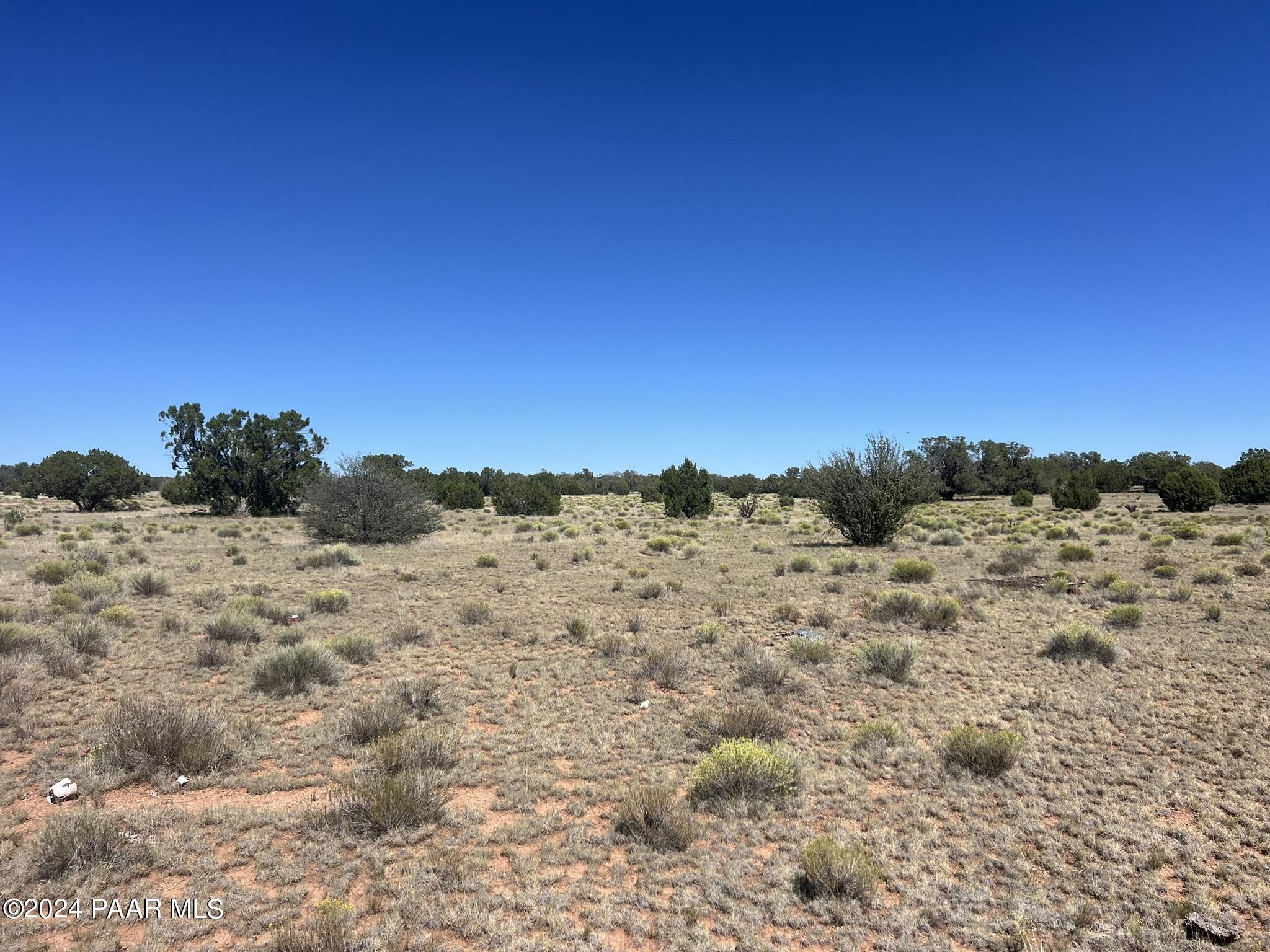 234 Brothers Road Seligman, AZ 86337 - Photo 7 of 16 IMG_6526