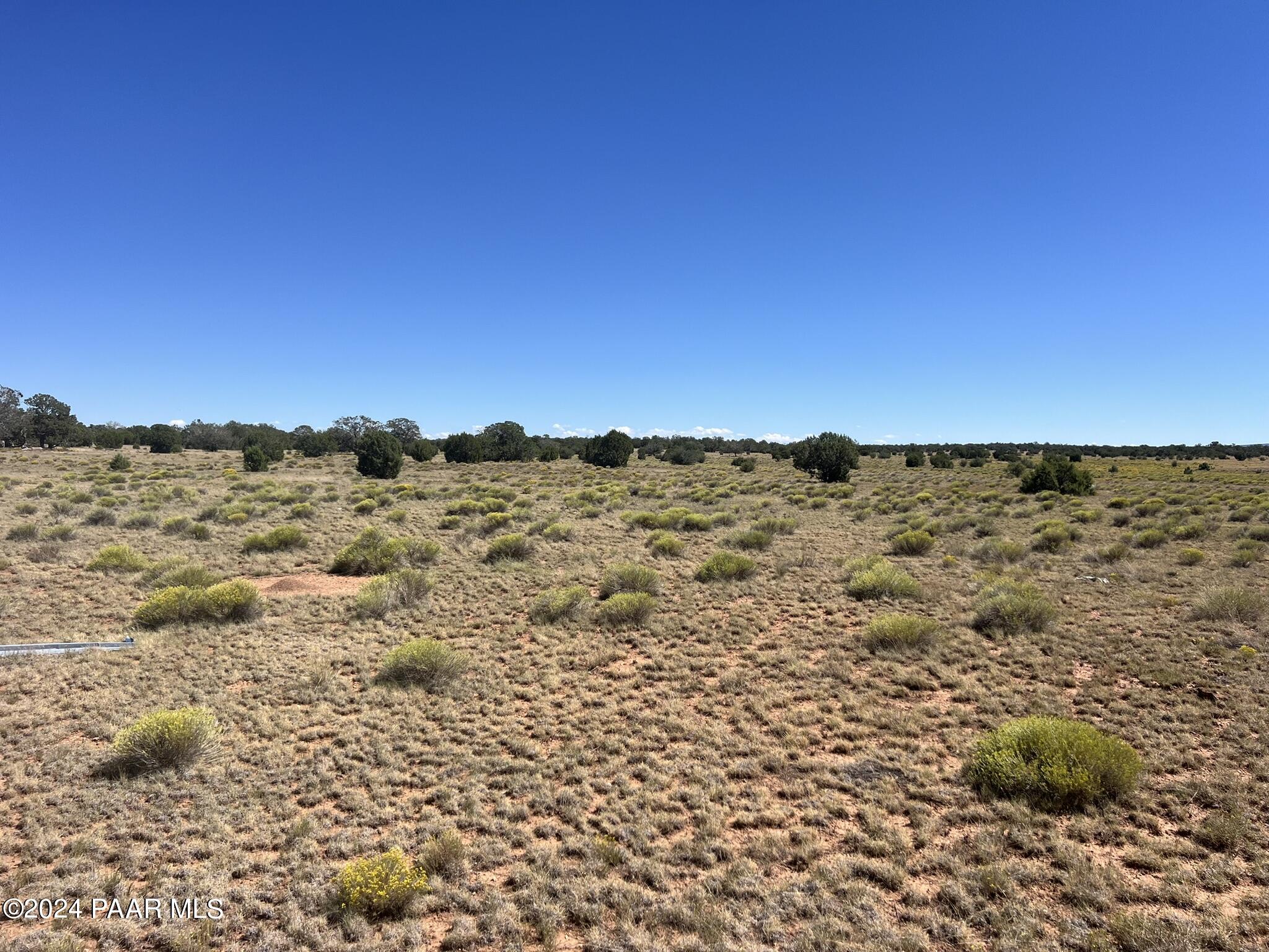 234 Brothers Road Seligman, AZ 86337 - Photo 10 of 16 IMG_6528
