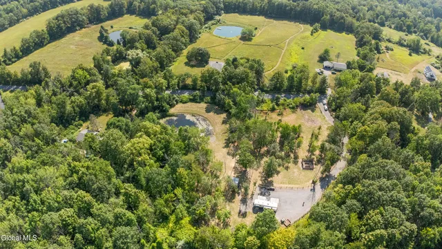 $105,000 | L55 Arnold Road, Preston Hollow, NY 12469