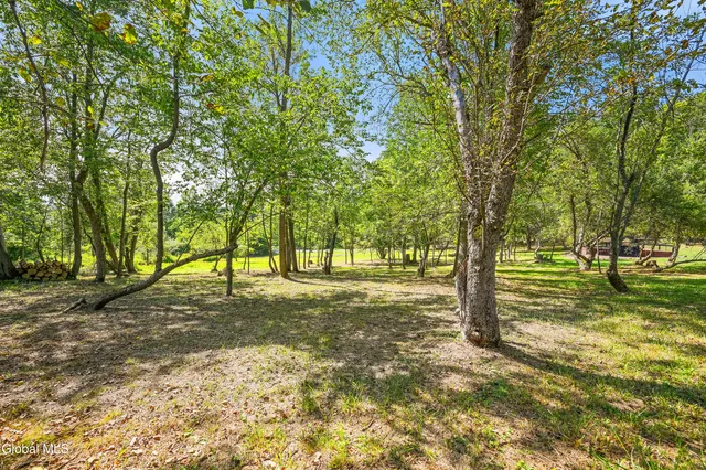 $105,000 | L55 Arnold Road, Preston Hollow, NY 12469