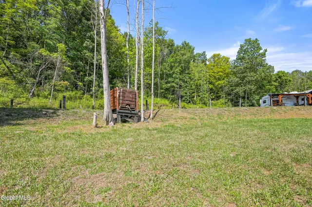 $105,000 | L55 Arnold Road, Preston Hollow, NY 12469