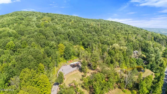 $105,000 | L55 Arnold Road, Preston Hollow, NY 12469