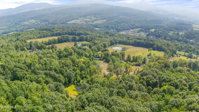 $105,000 | L55 Arnold Road, Preston Hollow, NY 12469