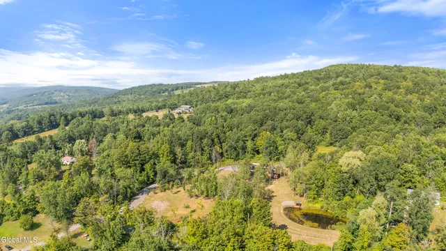 $105,000 | L55 Arnold Road, Preston Hollow, NY 12469