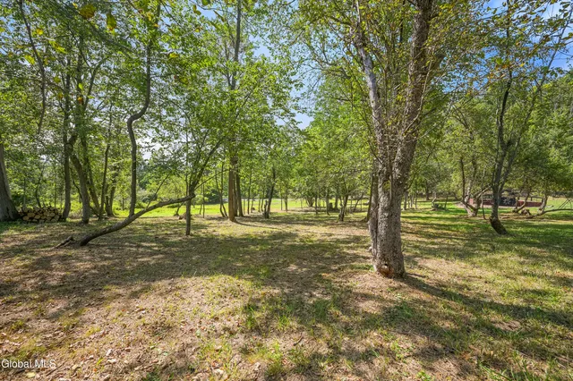 $105,000 | L55 Arnold Road, Preston Hollow, NY 12469