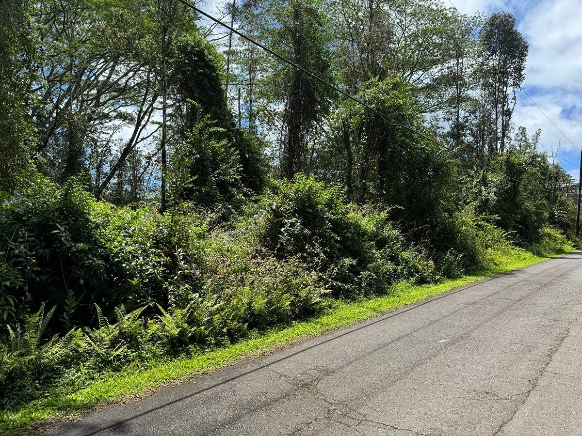 88 Kapuna Road Pahoa, HI 96778 - Photo 1 of 10 Gallery Image 1