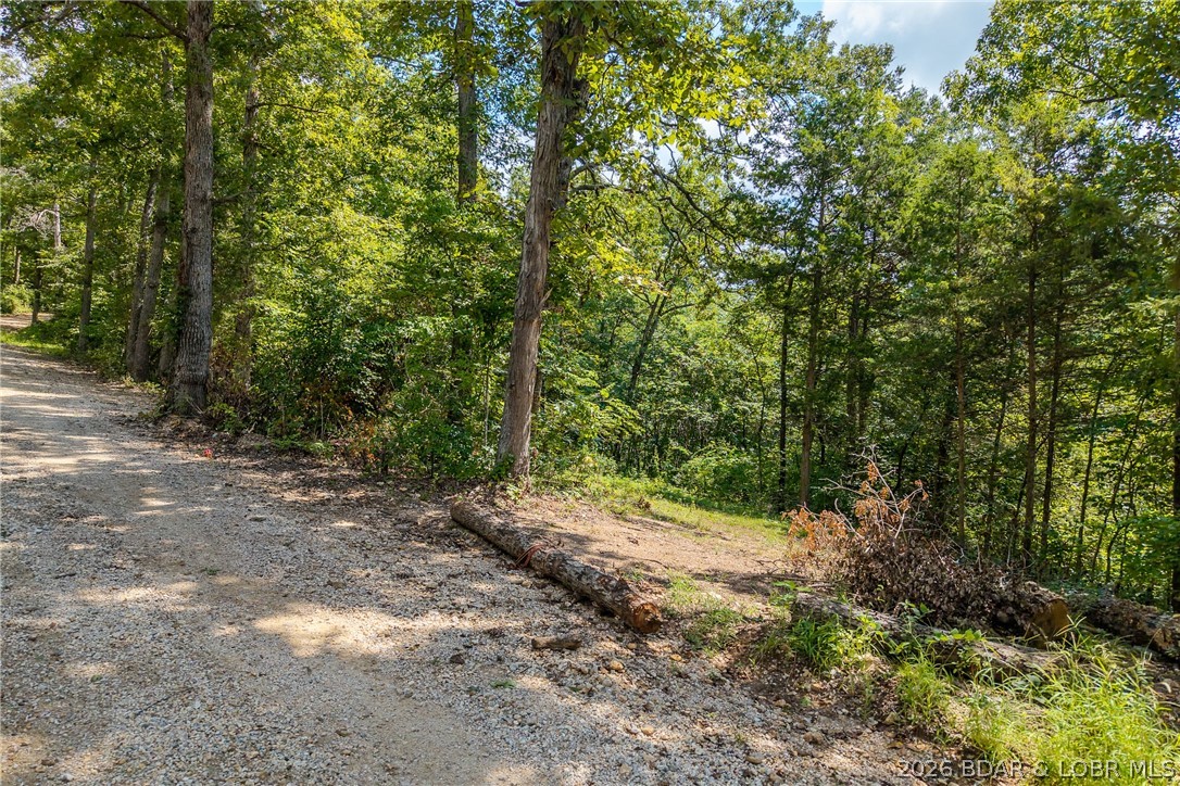 Tbd Tbd Oak Cove Road Stover, MO 65078 - Photo 4 of 21 Gallery Image 4