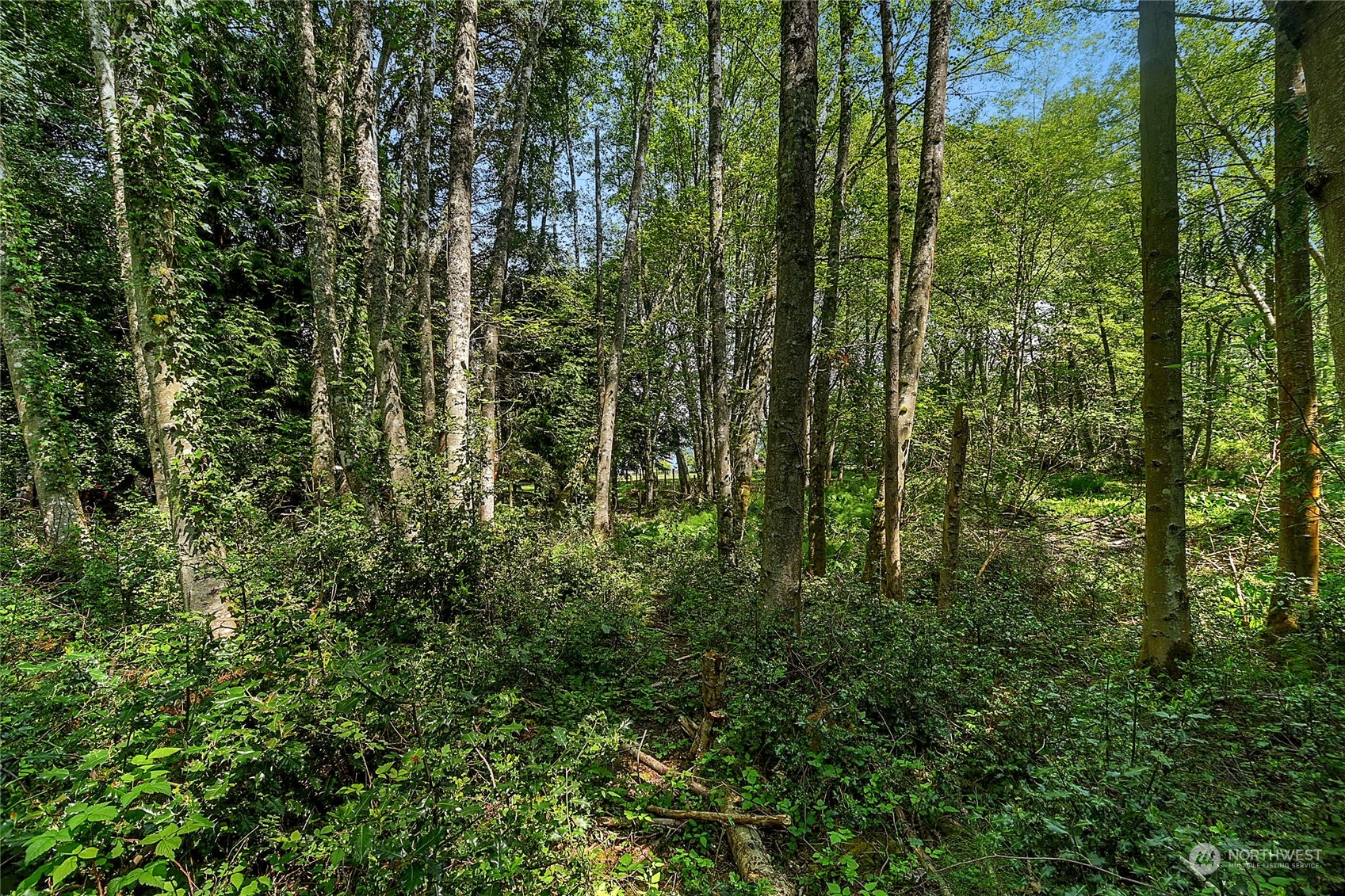 900 Sandy Point Road Langley, WA 98260 - Photo 8 of 12 Gallery Image 8