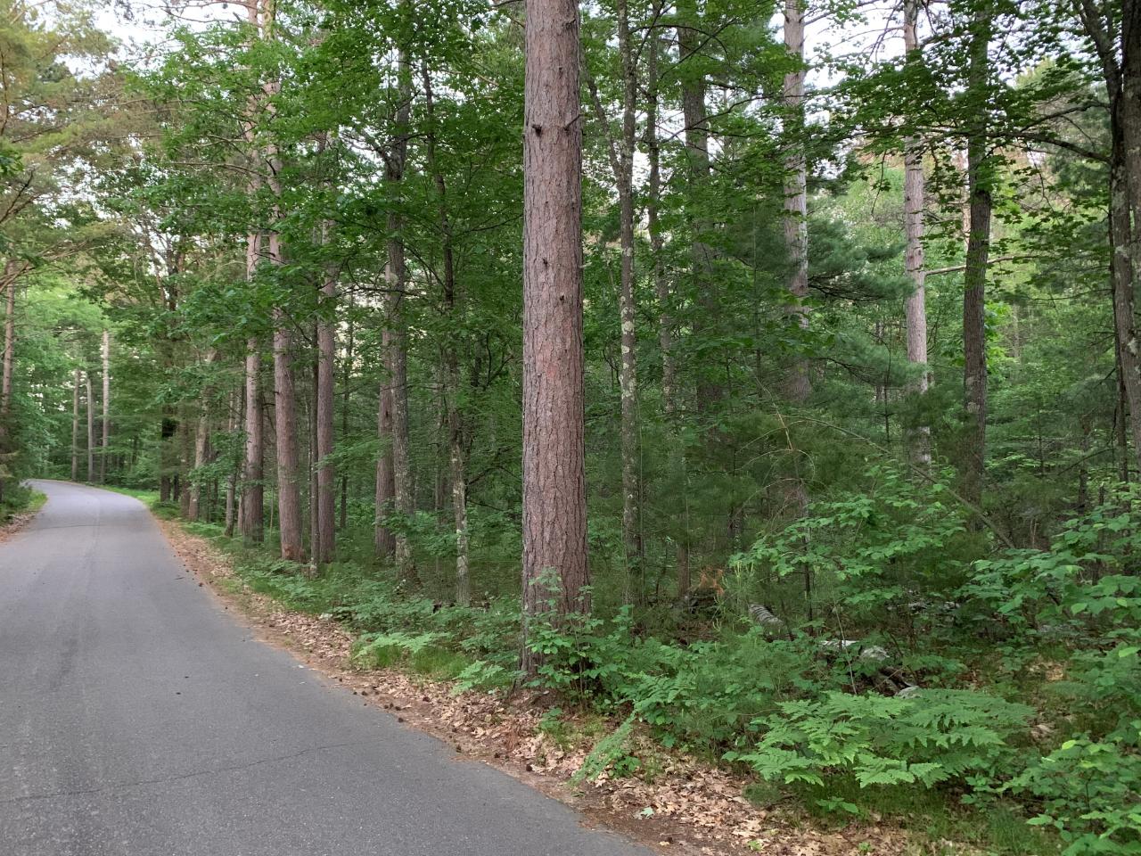On North Bluebird Road, Unit 5 98 ACRES Lake Tomahawk, WI 54539 - Photo 11 of 13 Gallery Image 11