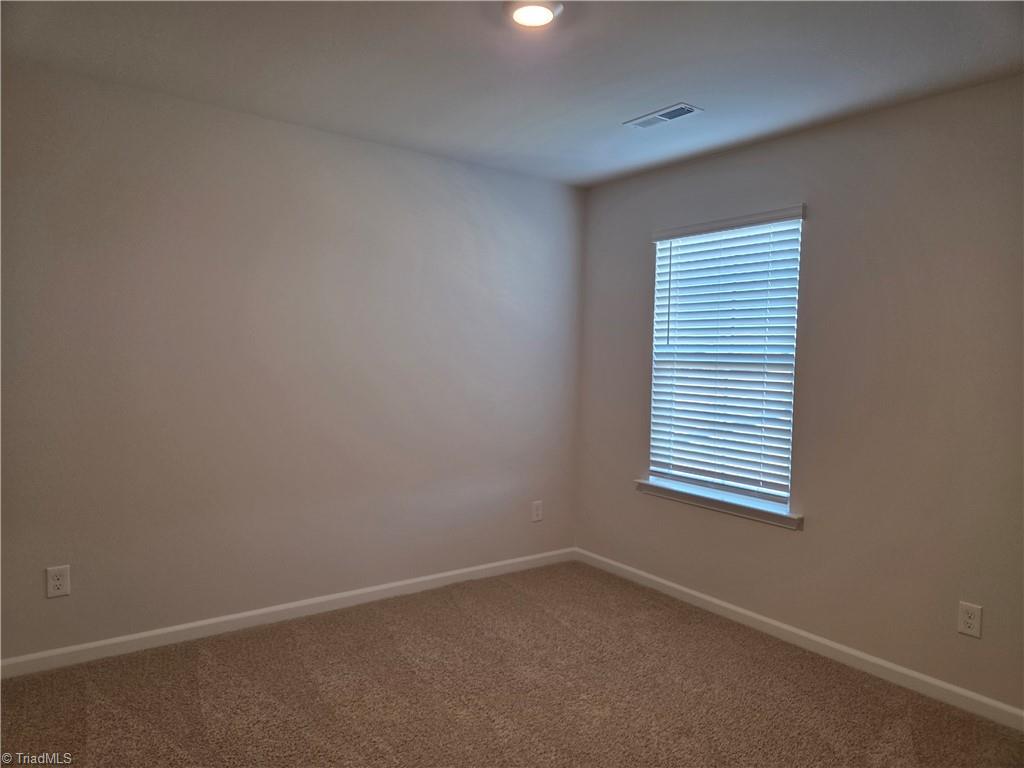 6598 Capstone Court Rural Hall, NC 27045 - Photo 12 of 14