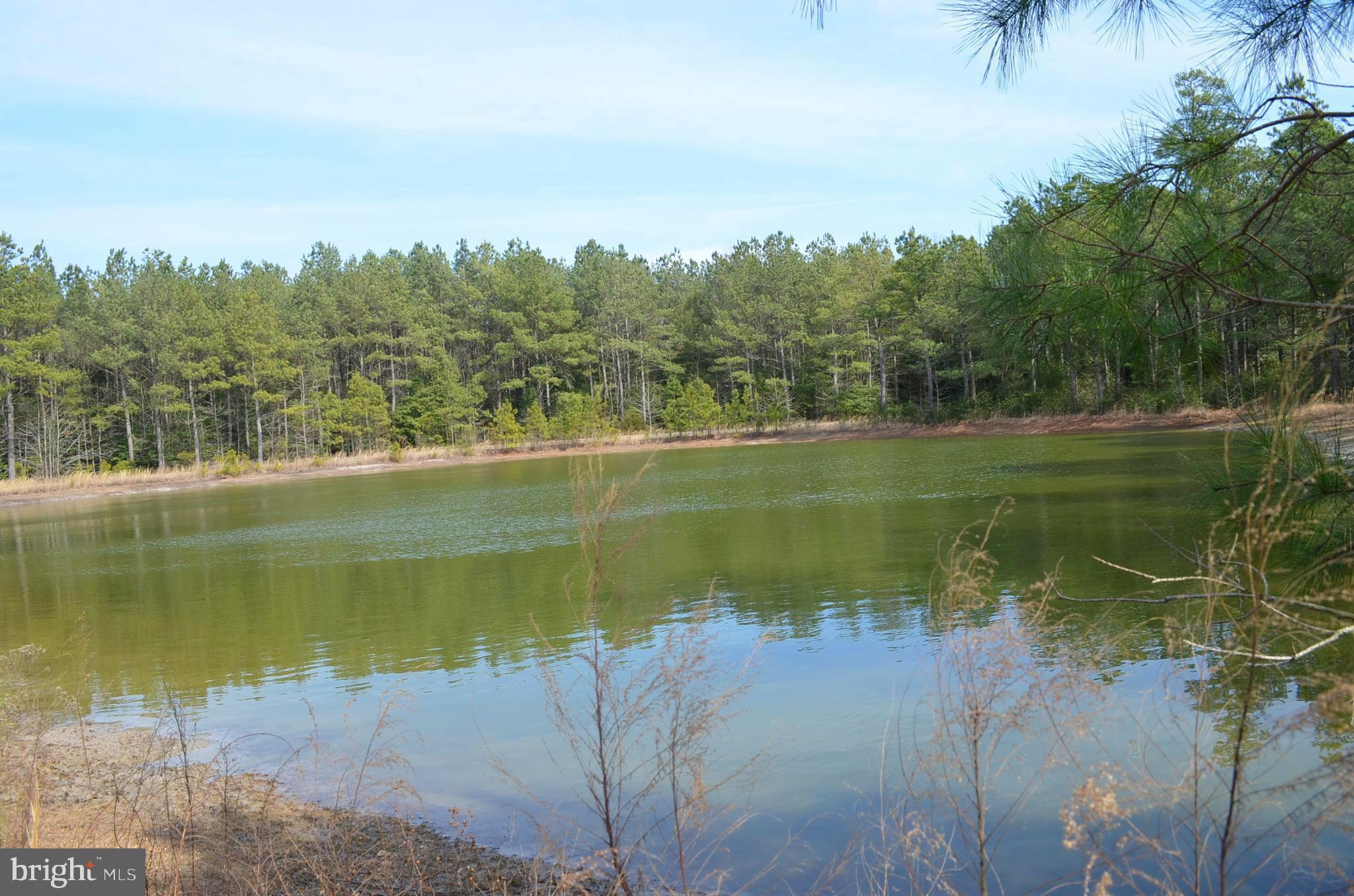 3101 Stockton Road Pocomoke City, MD 21851 - Photo 74 of 116 Pond