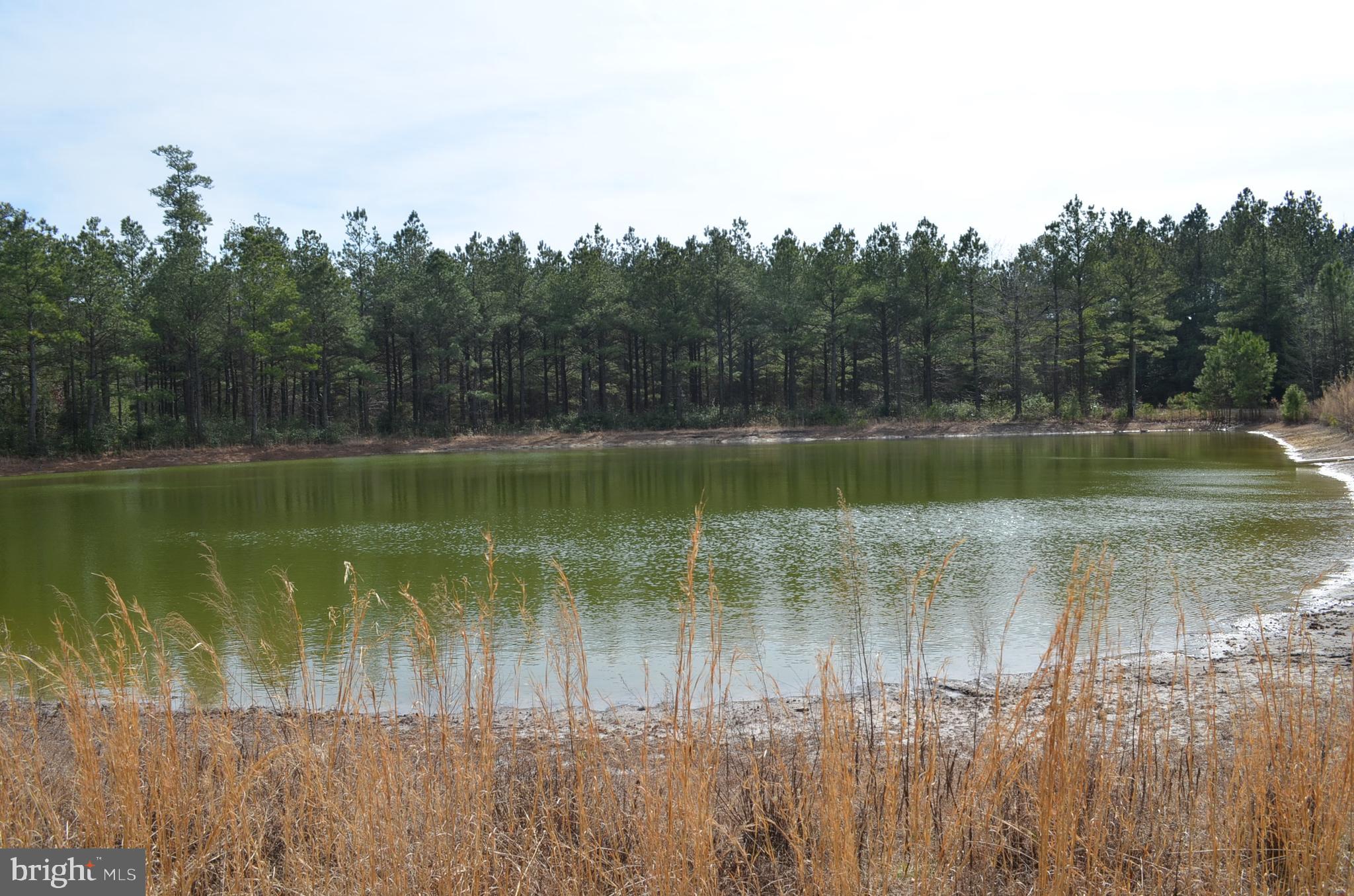 3101 Stockton Road Pocomoke City, MD 21851 - Photo 77 of 116 Pond