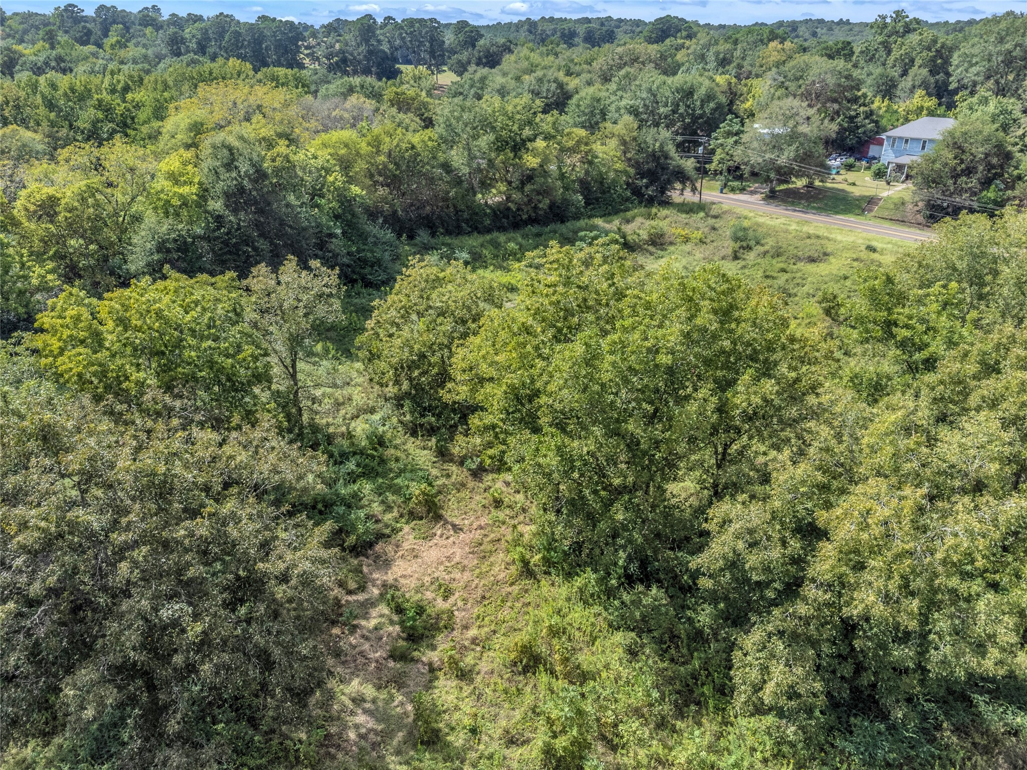 Tbd Crockett Street Rusk, TX 75785 - Photo 11 of 17 a view of a lush green forest with trees and houses