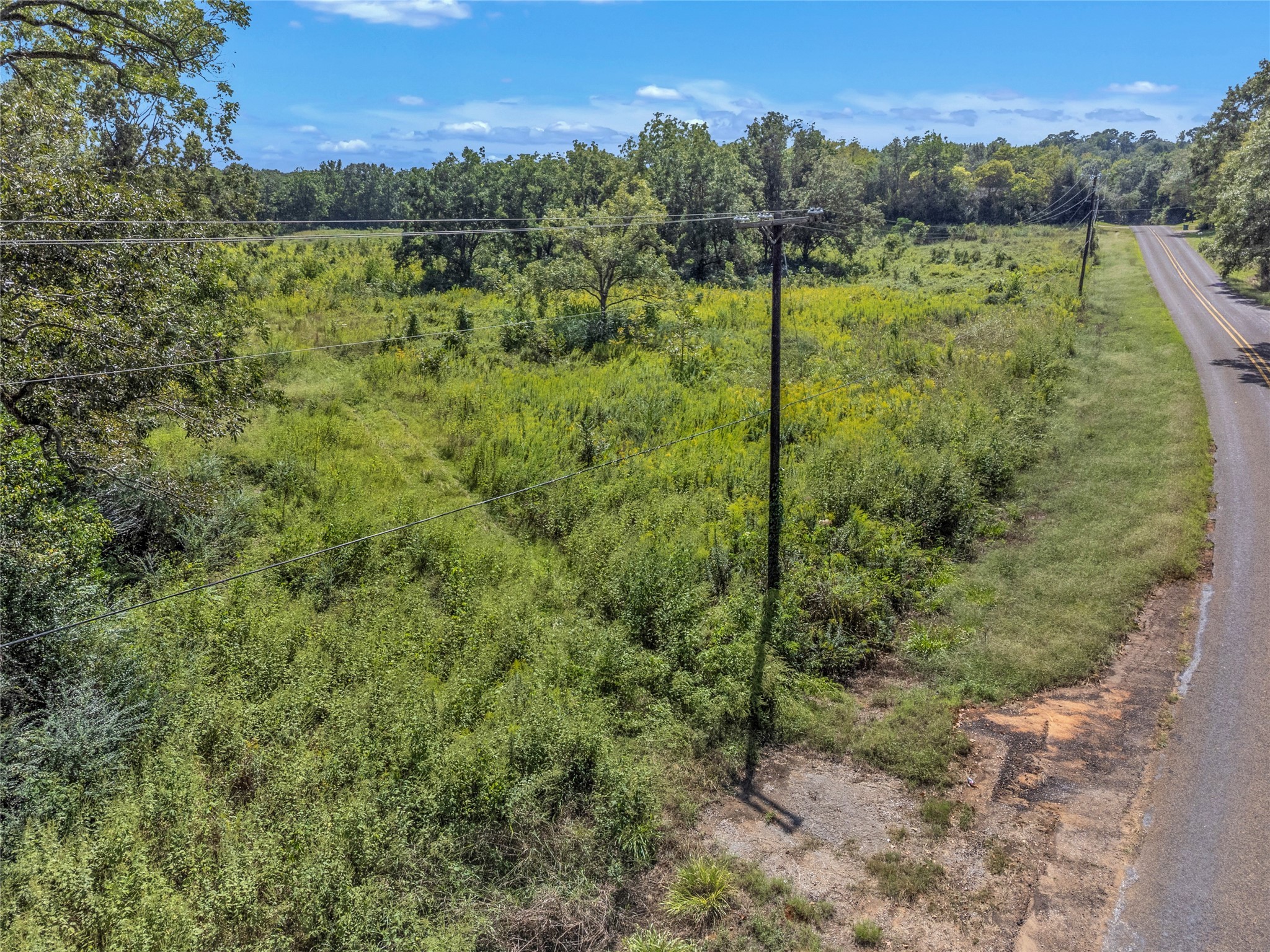 Tbd Crockett Street Rusk, TX 75785 - Photo 14 of 17 a view of a lush green forest with a building in the background