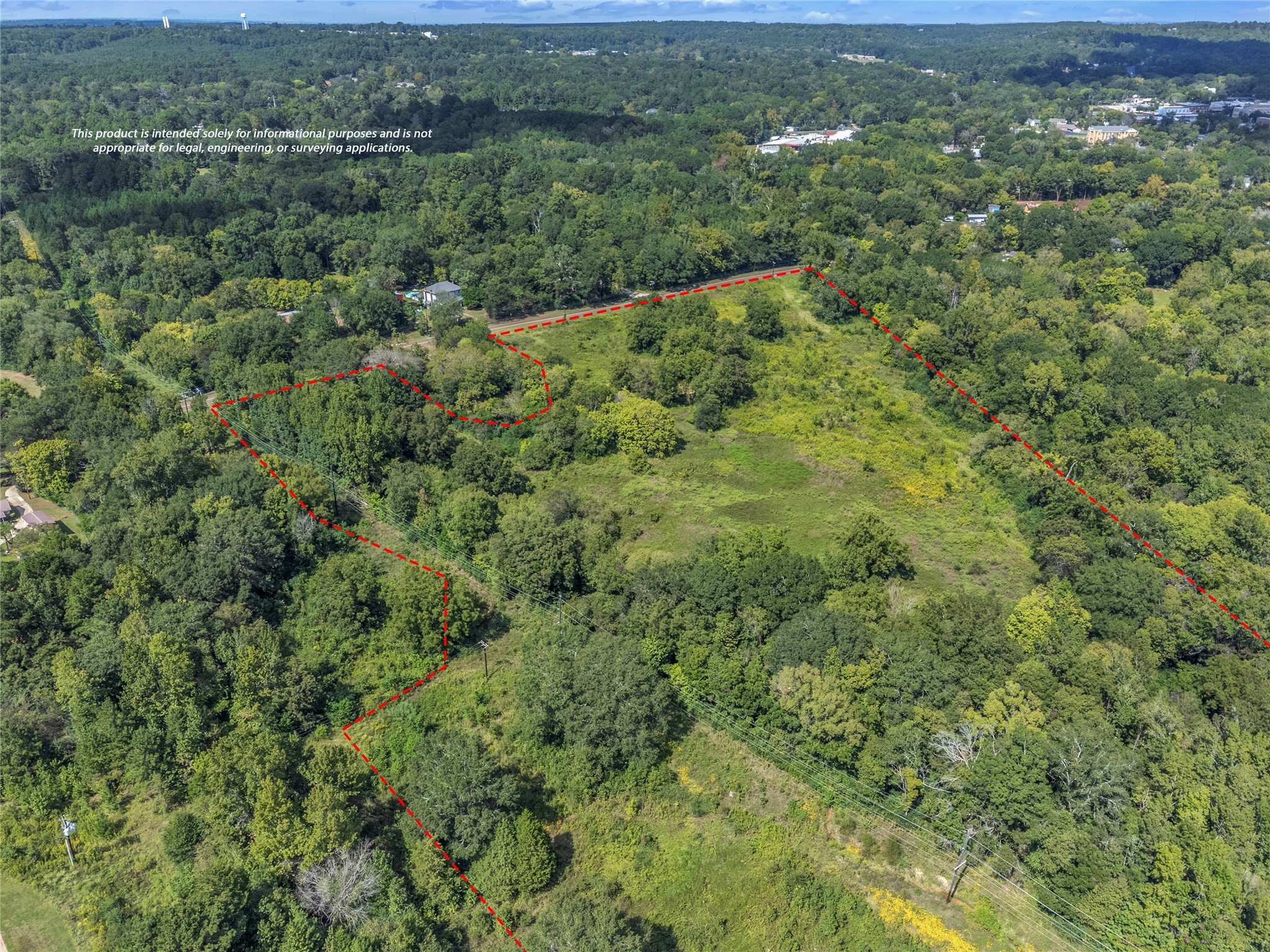 Tbd Crockett Street Rusk, TX 75785 - Photo 3 of 17 a view of a green field with lots of trees