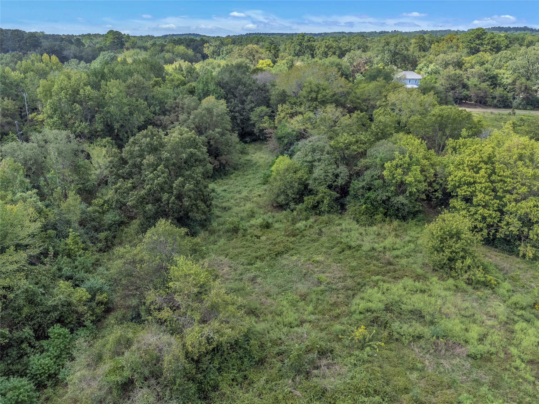 Tbd Crockett Street Rusk, TX 75785 - Photo 7 of 17 a view of a green field with lots of trees