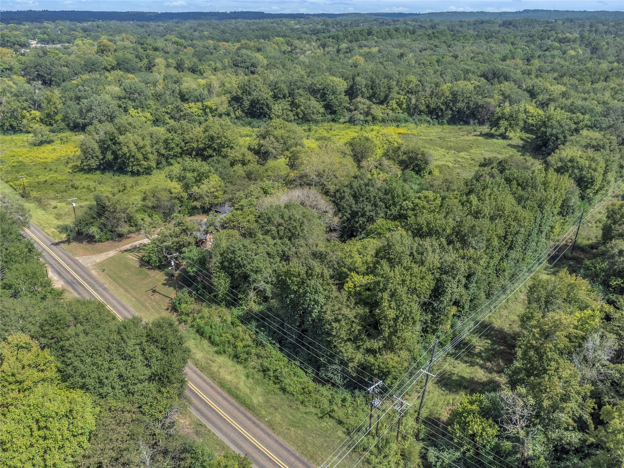 Tbd Crockett Street Rusk, TX 75785 - Photo 8 of 17 a view of a forest with a street