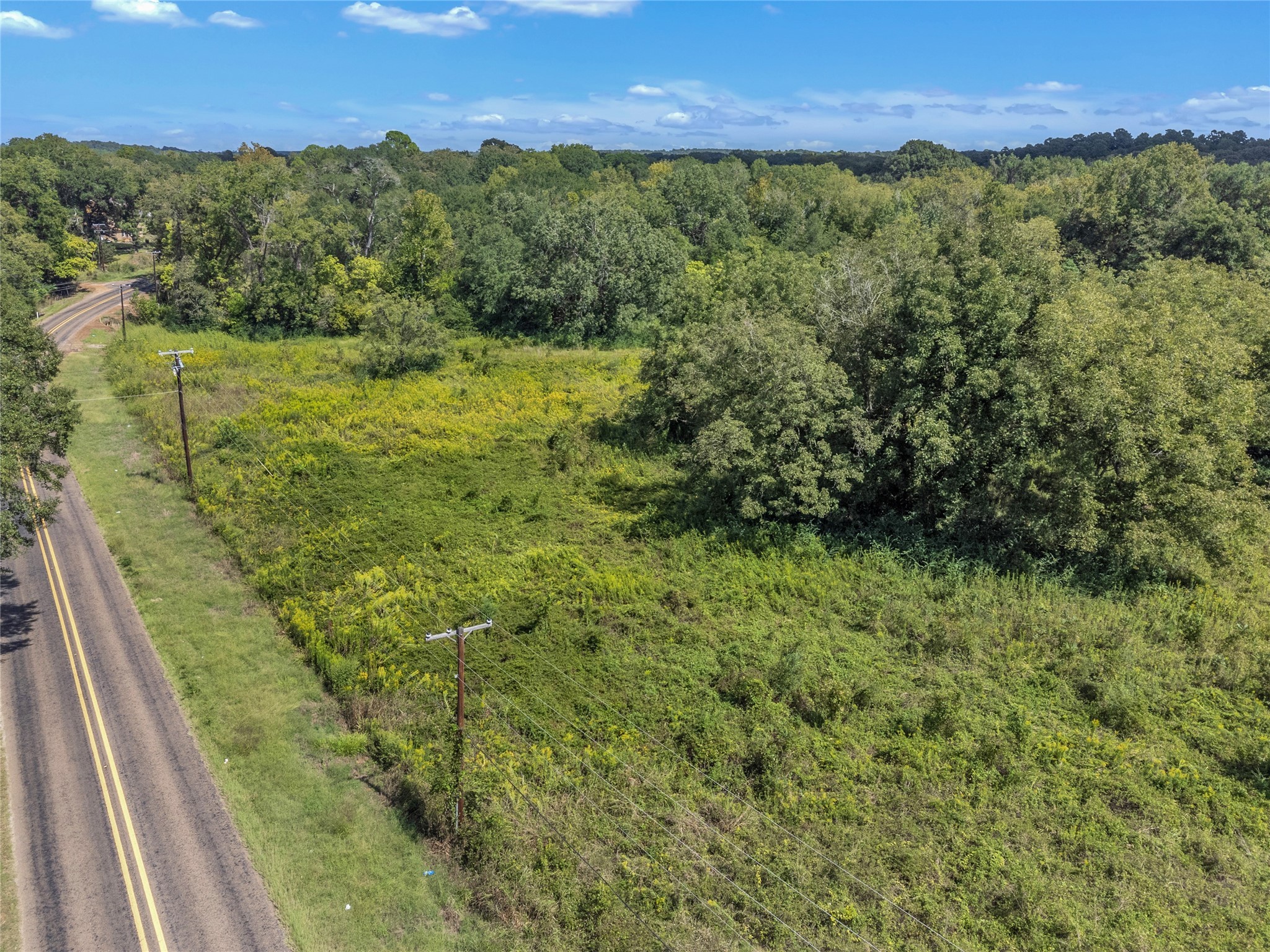 Tbd Crockett Street Rusk, TX 75785 - Photo 9 of 17 a view of a lush green forest with trees and houses