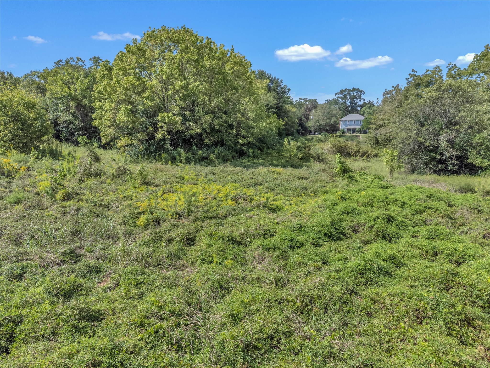 Tbd Crockett Street Rusk, TX 75785 - Photo 10 of 17 a view of a garden