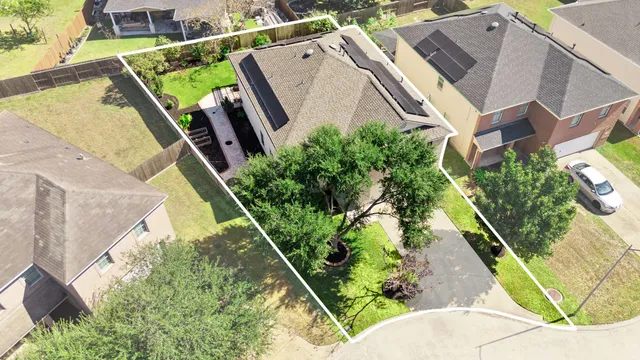 a view of a backyard with plants