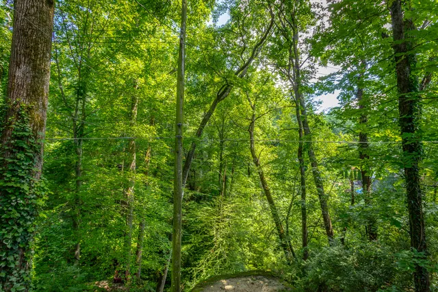 $399,000 | 2 Mother Goose Village, Lookout Mountain, GA 30750