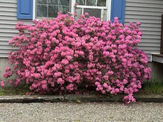 27 Oak Point Road Harrington, ME 04643 - Photo 26 of 28 IMG_4294