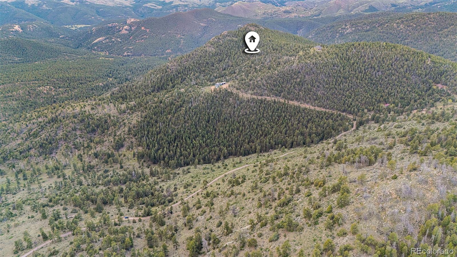 14336 South Wamblee Trail Conifer, CO 80433 - Photo 12 of 12 a view of a dry yard