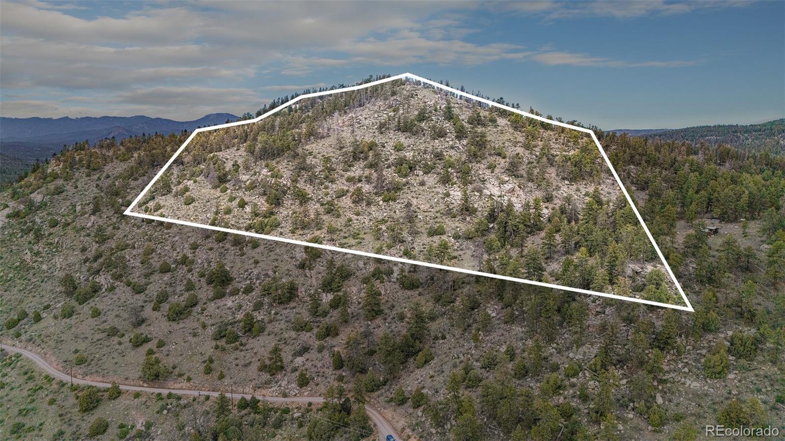 14336 South Wamblee Trail Conifer, CO 80433 - Photo 2 of 12 a view of wooden floor